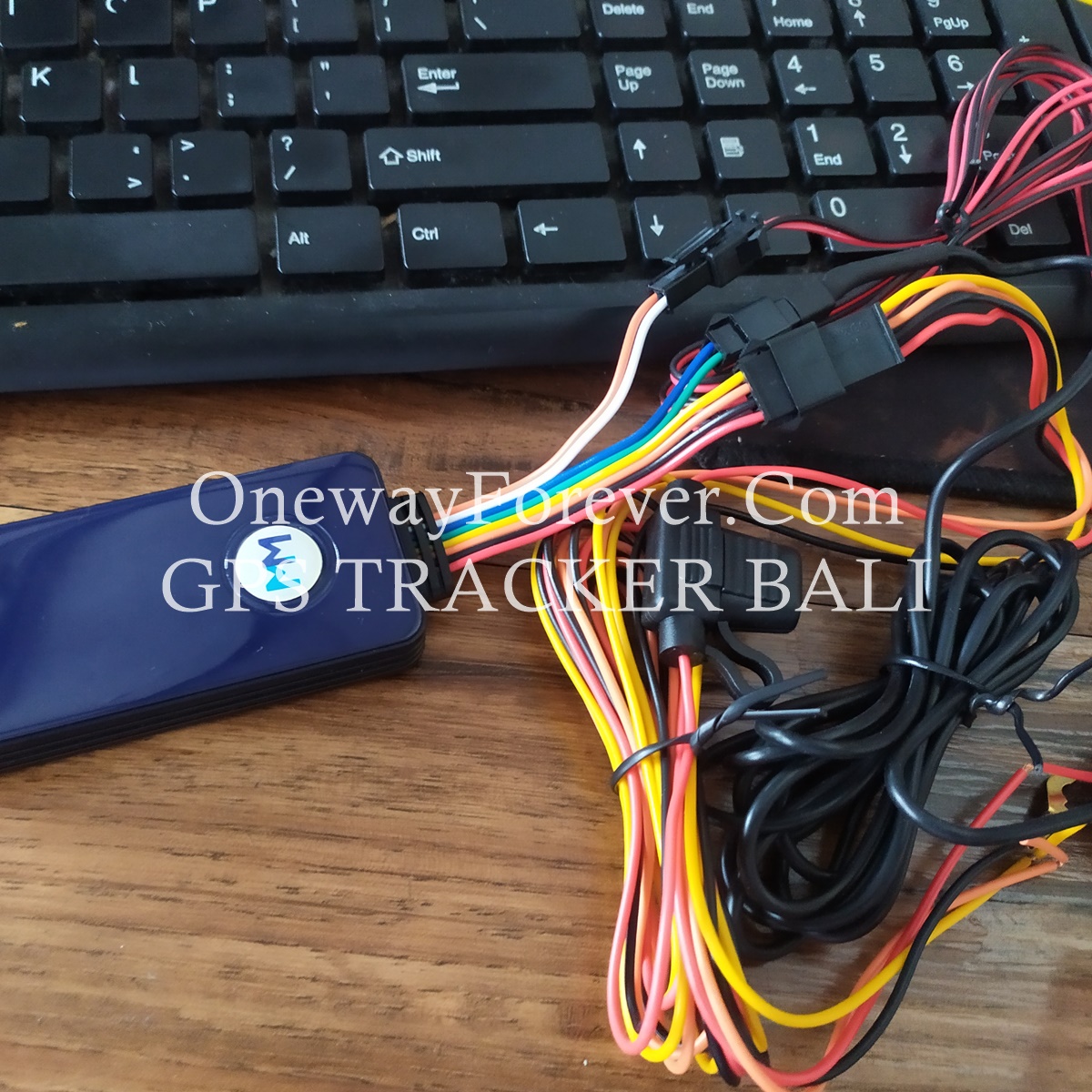 GPS Tracker Bus di Balibali